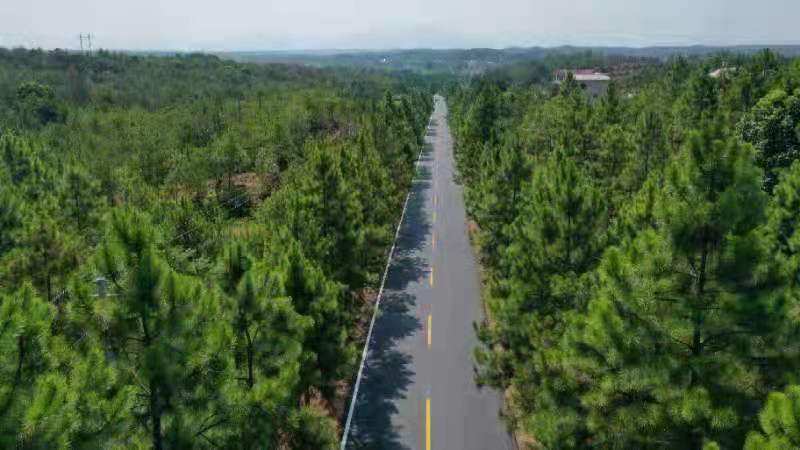 泰和县古坪至竹山（苑前至竹山段）县道路面改造工程